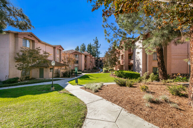 Building Photo - 12043 Alta Carmel Ct