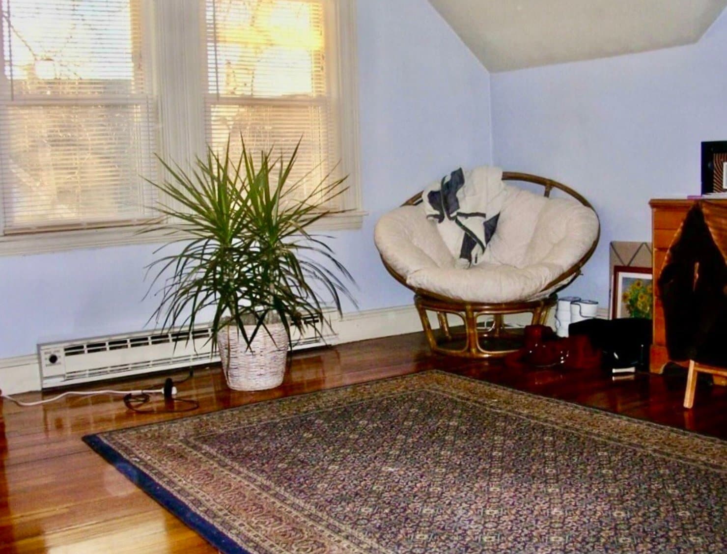 Building Photo - 137 Whitwell St