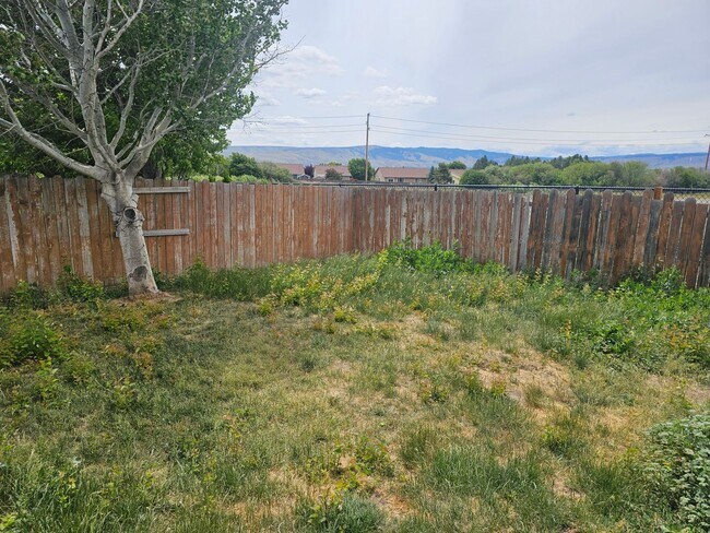 Building Photo - 3 Bedroom Home with Outdoor Space