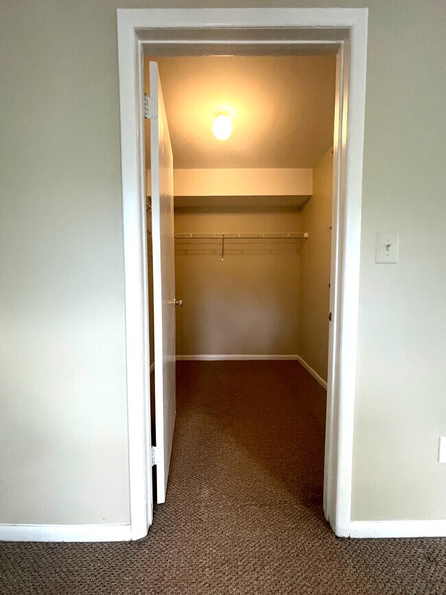 Building Photo - 115 Cascade Ct