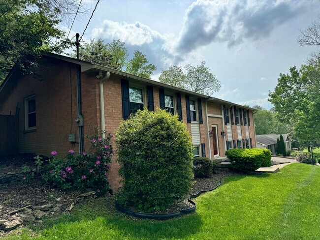 Building Photo - Nice 4BR Home in Perfect Location