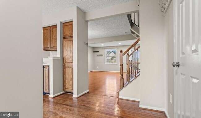 Building Photo - 6359 New Haven Ct