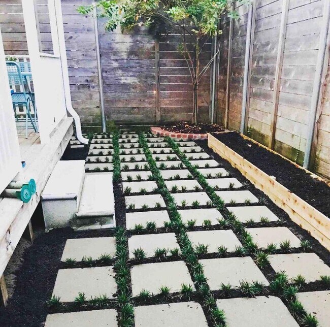 Yard - 2113 Toledano St