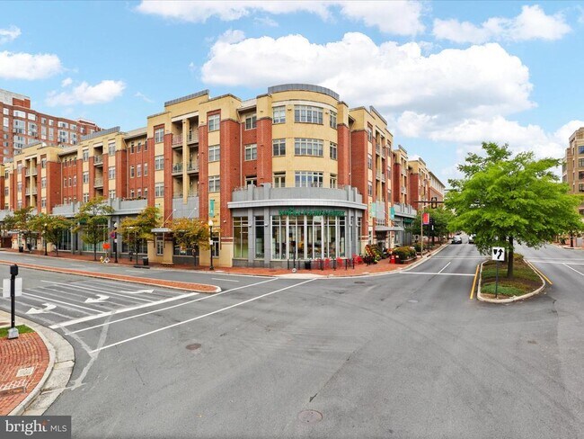 Building Photo - 309 Holland Ln