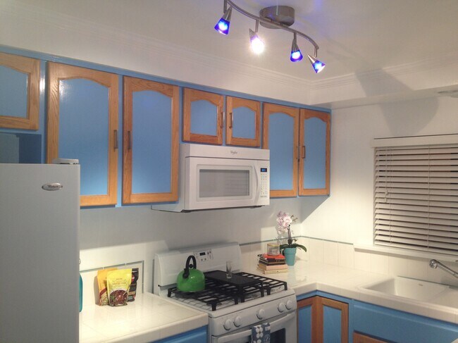 Level 1 Large Kitchen - 126 Gull St