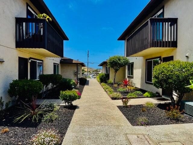 Primary Photo - Lake View Terrace Apartments