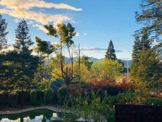 Building Photo - Gorgeous Executive Level Home 4 beds 3 baths close to hospitals and courthouse