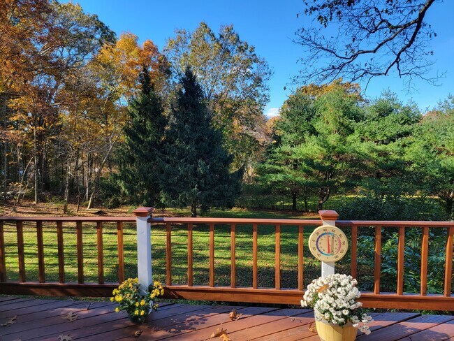 Building Photo - 40 N Mill St