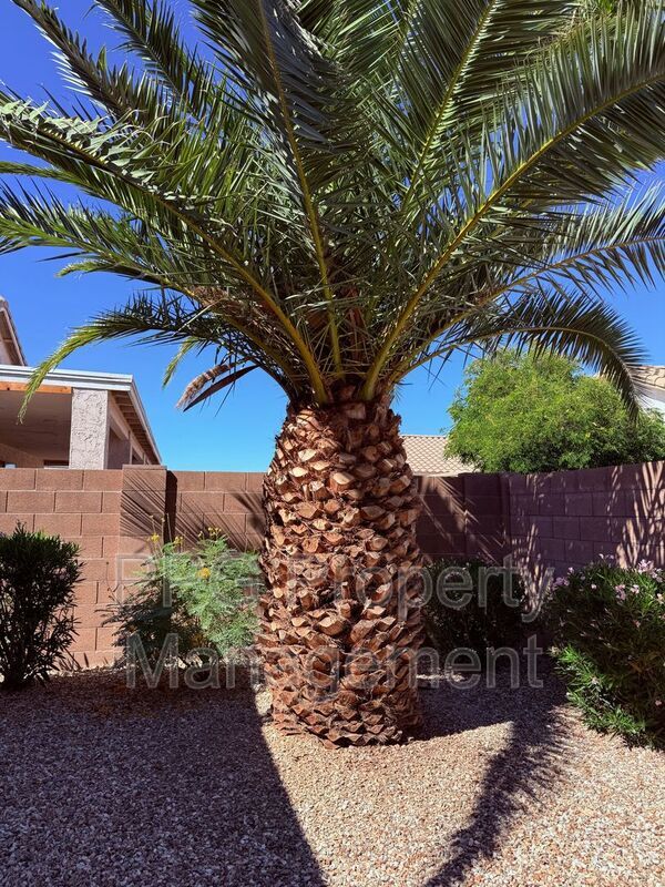 Building Photo - 18252 W Buena Vista Dr