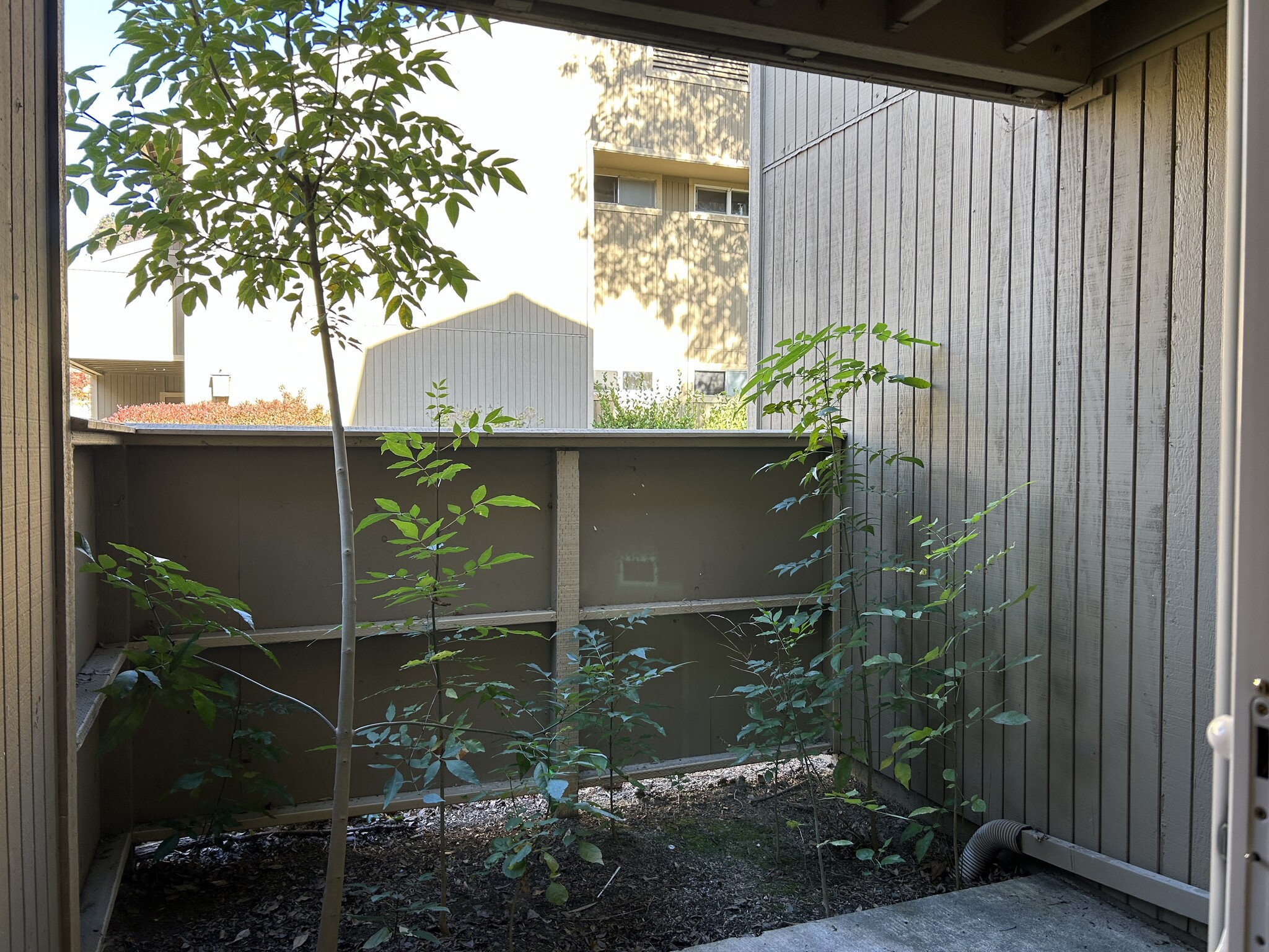 private patio - 37377 Sequoia Rd