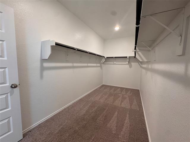 Building Photo - 8134 Grotto Dr