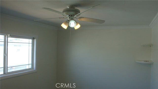 Building Photo - 31 Paradise