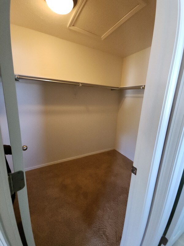 Building Photo - 209 Interlochen Ln