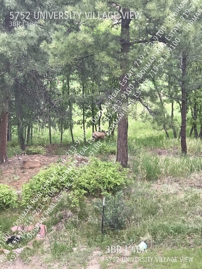 Building Photo - Townhome with garage
