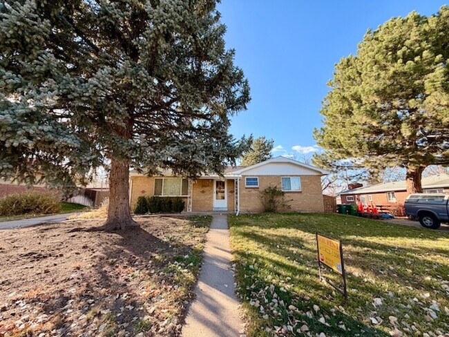 Building Photo - DEC RENT FREE FOR A LEASE STARTING BY NOV 15TH! - BRICK HOME WITH FINISHED BASEMENT