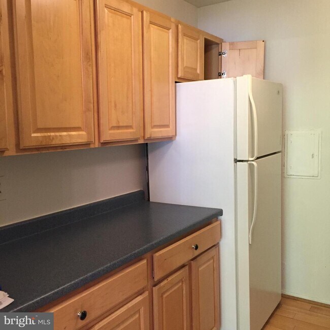 Building Photo - 12213 Braxfield Ct