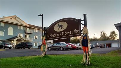 Building Photo - The Meadows at Moose Lake Apartments