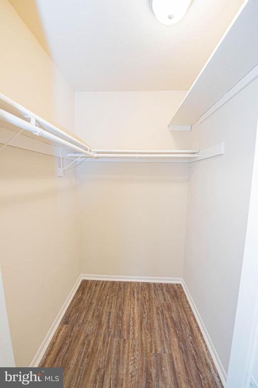 Building Photo - 804 College Ln