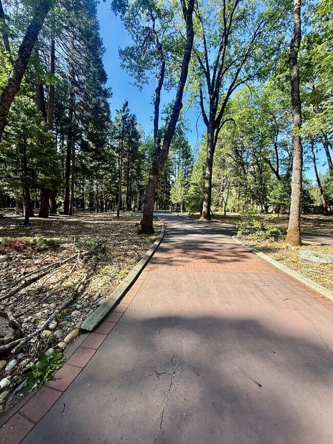 Building Photo - 13240 Loma Rica Dr