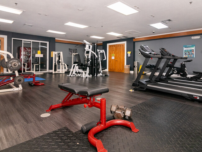 Fitness Center - 329 Orchid Dr