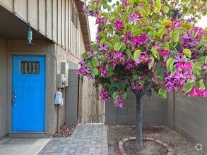 Building Photo - 1418 E El Parque Dr