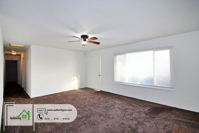 Building Photo - 3120 Stingy Ln