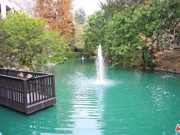pond - 3113 Raintree Cir