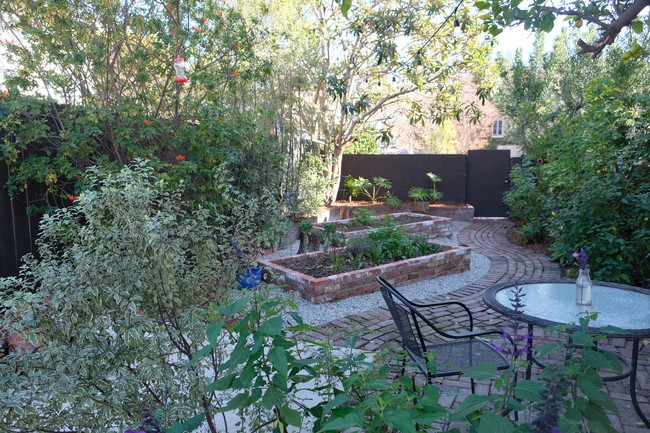 Side yard patio Under lemon tree - 1417 Ellsmere Ave