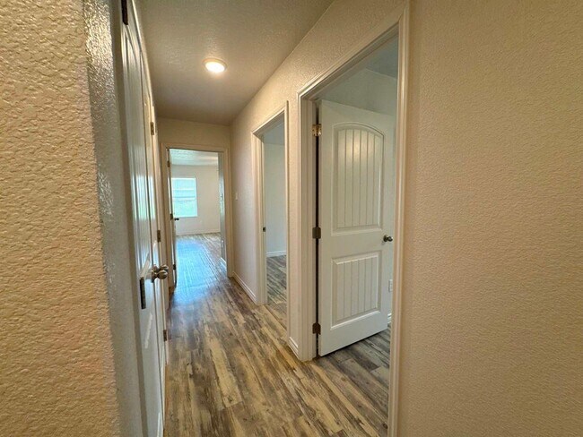 Building Photo - 205 Dolphin Dr