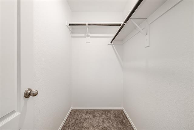 Building Photo - 2216 Canongate Dr
