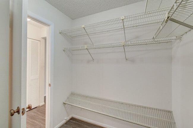 Building Photo - 5710 Princess Palm Ct