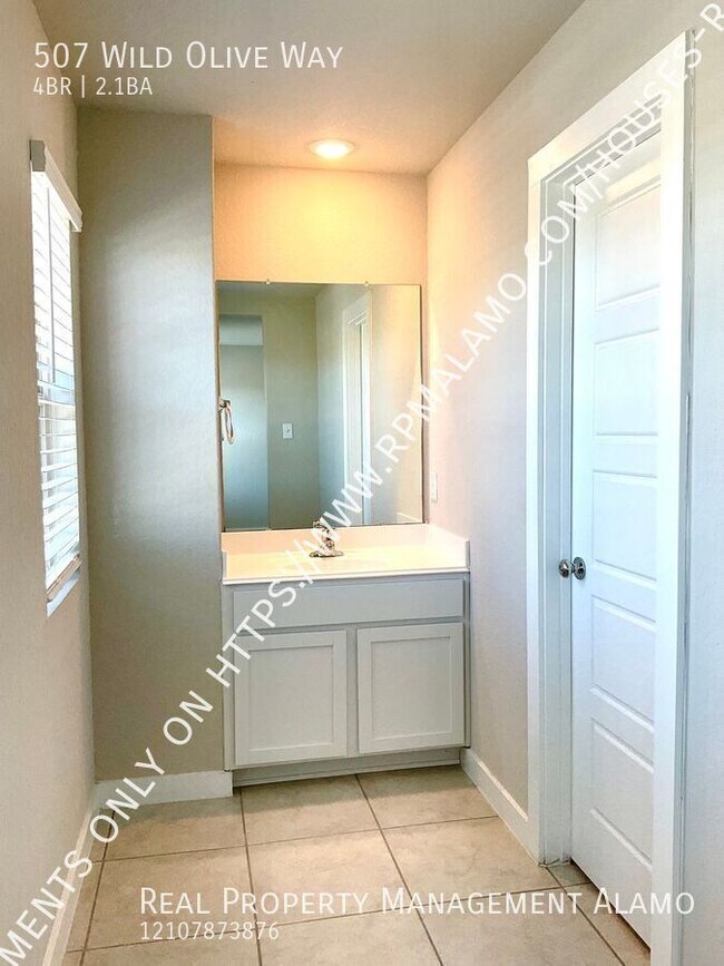 Building Photo - 507 Wild Olive Wy