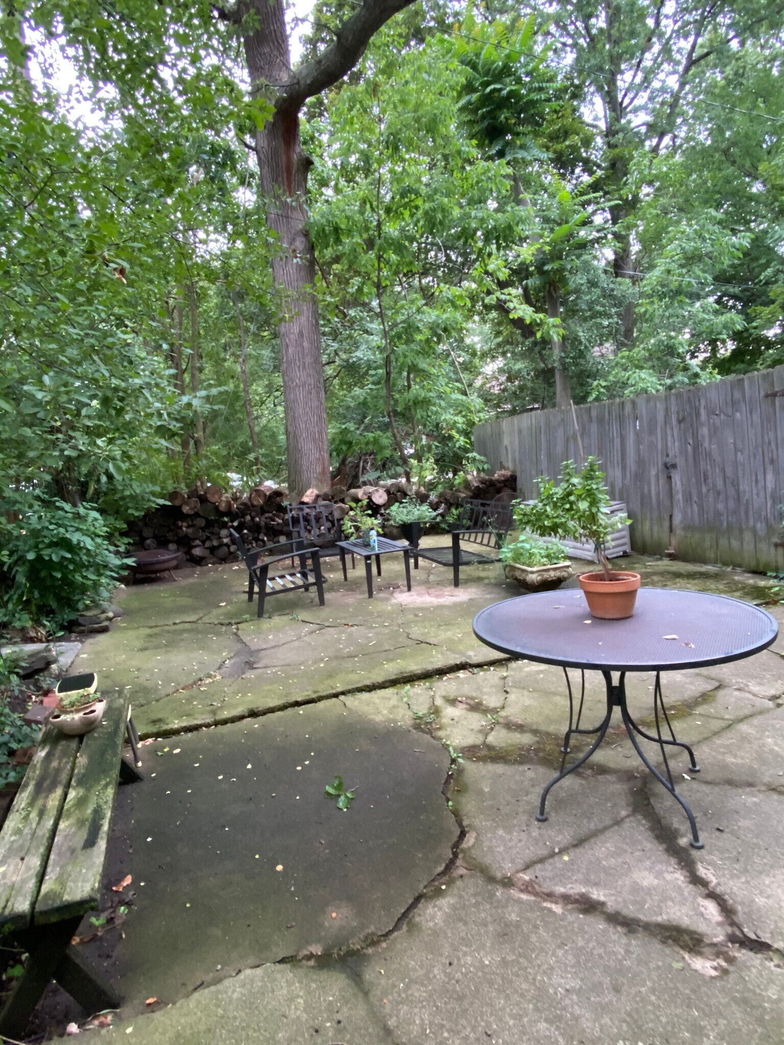 Patio area for all tennts - 1141 Lakeland Ave