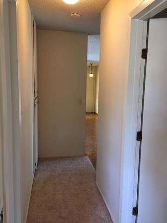 Hallway - 88 Flynn Ave