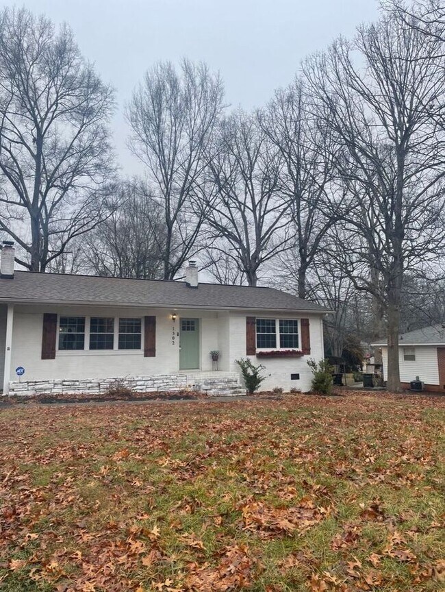 Building Photo - Charming Brick Ranch with Massive Privacy Yard