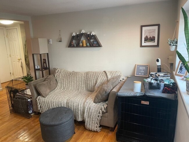 Building Photo - 1 Bedroom Brighton Apartment on MBTA/Green Line