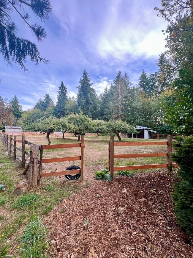 Building Photo - Updated 1920 Farmhouse - Many Special Feat...