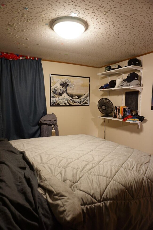 Building Photo - 2 Bedroom, 1 Bath duplex on Military Hill!