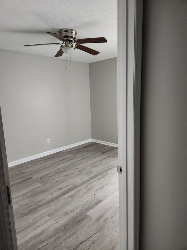 Primary Photo - AVAILABLE NOW!