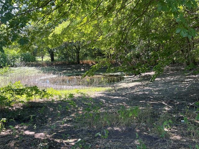 Building Photo - 156 Creekview Meadows Dr