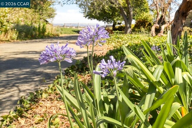 Building Photo - 1351 Eastshore Dr