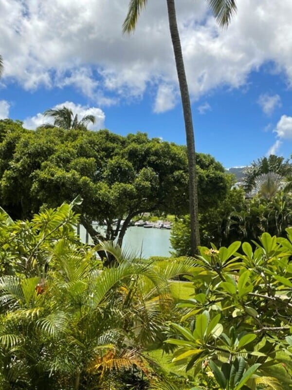 Building Photo - 500 Lunalilo St