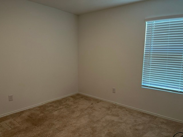 Building Photo - 5609 Timber Point Dr