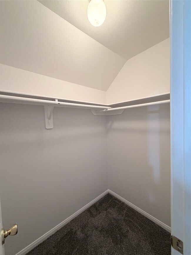 Building Photo - 17407 S Sienna Cove Ln