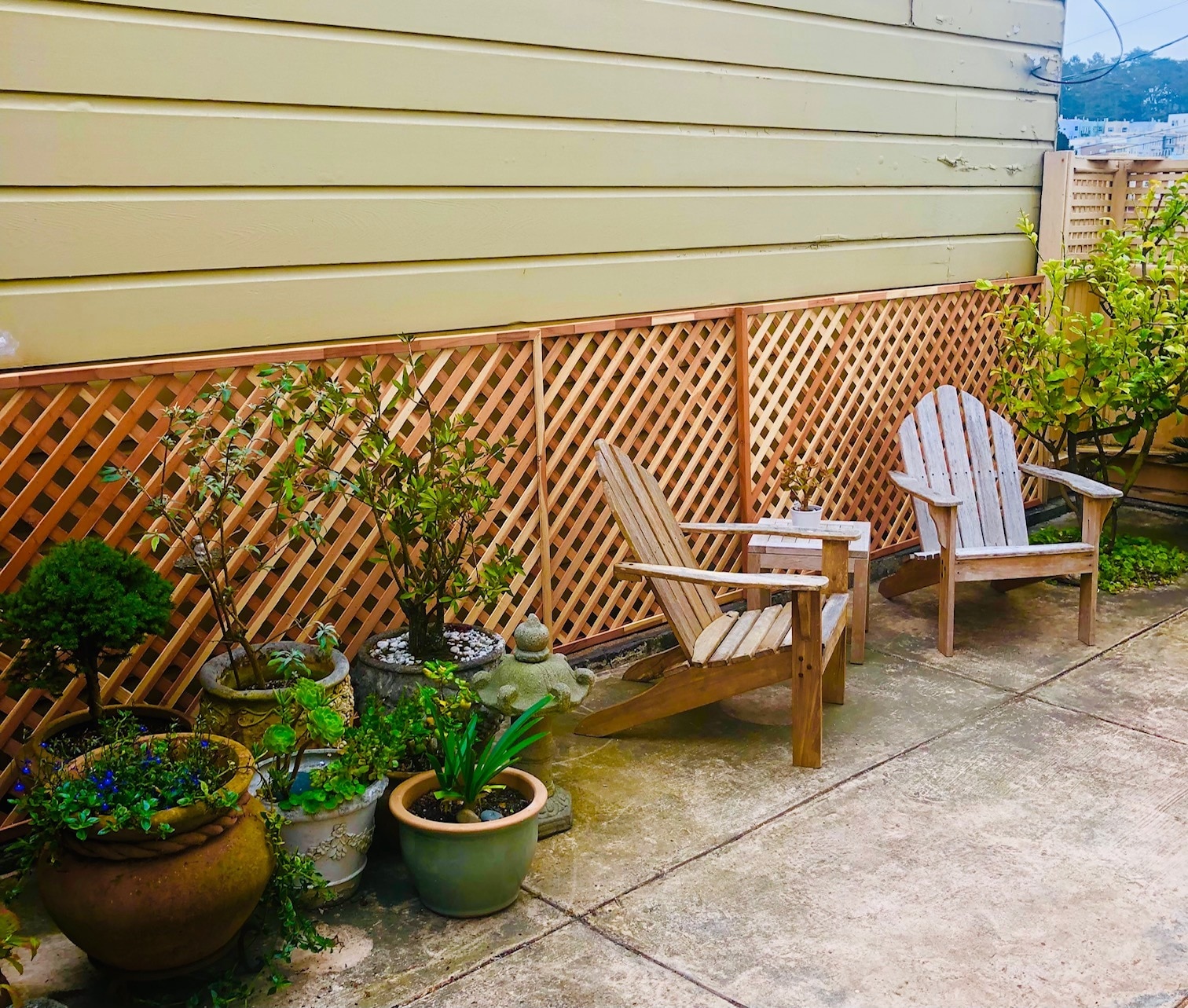 Backyard - 2240 Balboa St