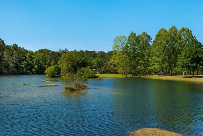 Building Photo - 1504 Big Creek Cove