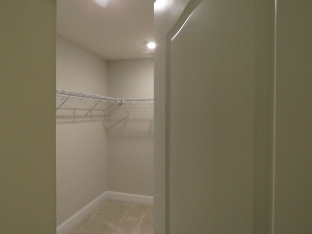 Building Photo - 1517 Catch Fly Ln