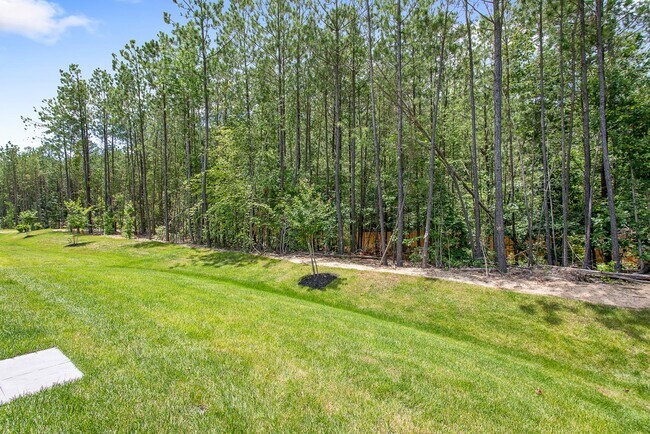 Building Photo - $3,000 / 2 br / 2 ba / 1,650 sqft