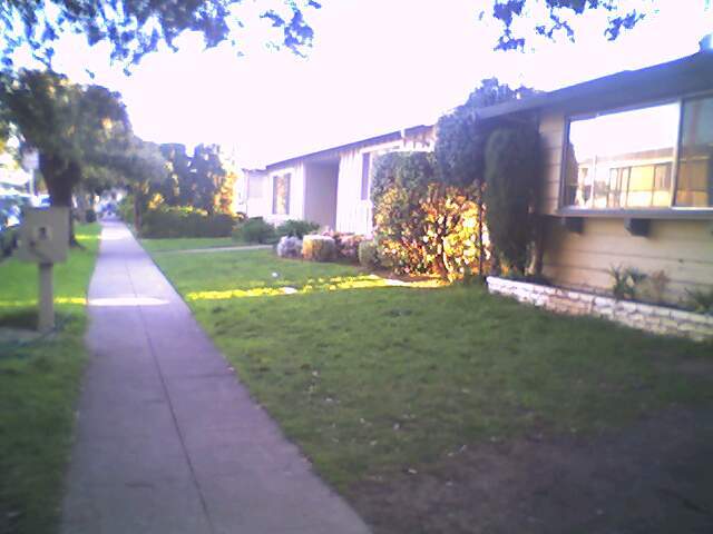 Front Lawn - 1123 Starbird Cir
