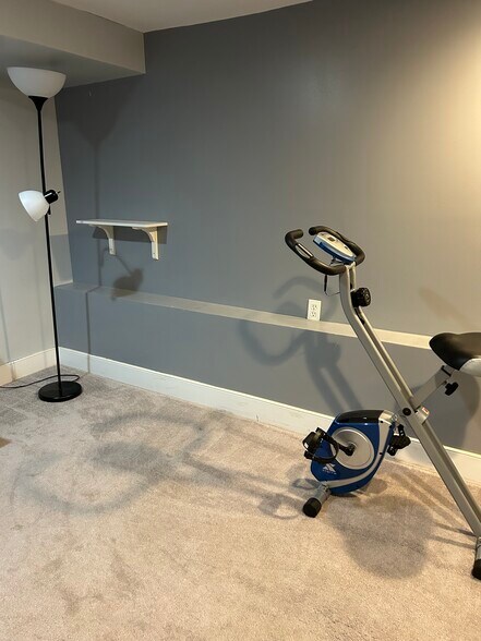 Basement, view 2 - 128 N Belnord Ave